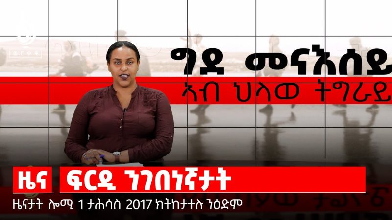 TBS TV| ፍርዲ ንገበናኛታት /ታሪኽ መፅሓፍ ኣክሱም / ዓለምለኸ መዓልቲ ሕማም ሳምባ ምቺ / ፋብሪካ ወርቂ ሜሊ-ኢዛና