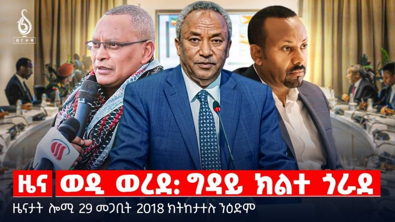 🔴TBS TV| ወዲ ወረደ: ግዳይ ክልተ ጎራደ | መንግስትነት ቅድሚ ኲናት | ስርቂ ኣብ ማይ ግልጋሎት | ዜናታት 29 መጋቢት 2018